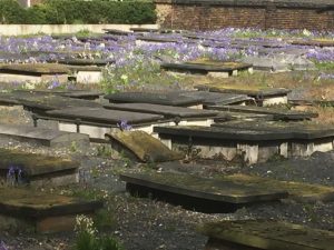 Queen Mary Jewish Cemetery