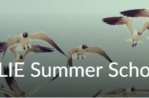 FLIE Summer School unit on Brightspace