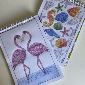 2 colouring books